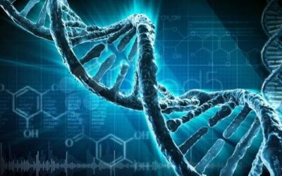 L’ADN peut être reprogrammé par nos propres mots !